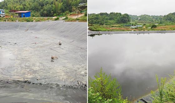 HDPE ที่มีประสิทธิภาพสูง Geomembrane เรียบเรียบที่มีความยาว 700% เมื่อแตก ความทนทานทางเคมีที่ดีเยี่ยม และความกว้างที่สามารถปรับปรุงได้สําหรับปลูกปลาน้ํา