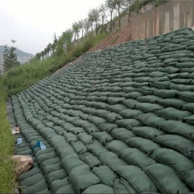 ระบบเสริมพืชพันธุ์ที่ยั่งยืน กระเป๋าสิ่งแวดล้อม (EcoBags)
