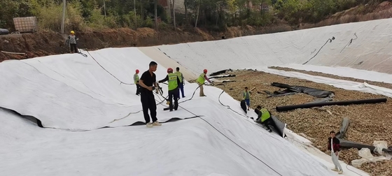 Composite Geomembrane: Reinforced Protection with Geotextile Backing