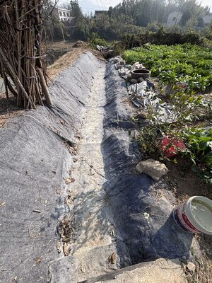 ผ้าห่มซีเมนต์แข็งตัวเร็ว ความยาว 20-50 เมตร พร้อมเส้นใยสิ่งทอและผงซีเมนต์ สำหรับเสริมความแข็งแรงของพื้นดิน